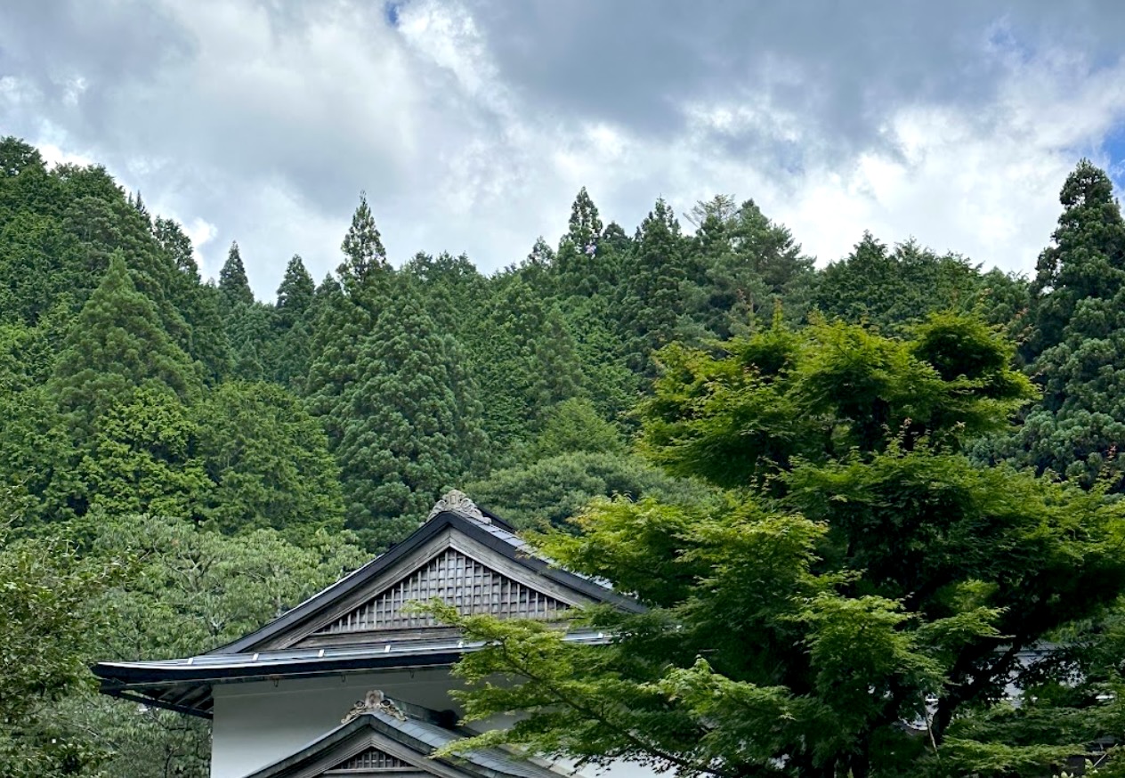 風のように心を整える｜1分呼吸エクササイズと静けさを広げる方法