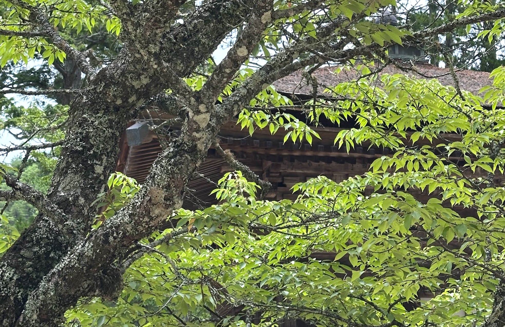 A 5-Minute Meditation to Balance Mind and Body