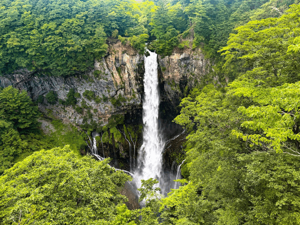 緑豊かな森に囲まれた断崖から一気に落ちる大きな滝。白い水しぶきが岩肌を滑り落ち、下の渓谷に流れ込んでいる。：日本の瞑想