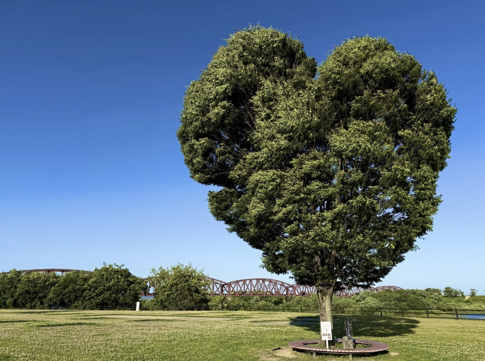 Under a clear blue sky, a lush green tree shaped like a heart stands with a circular bench around its trunk. In the background, a red iron bridge and rows of trees stretch across the landscape. :Meditation Retreat