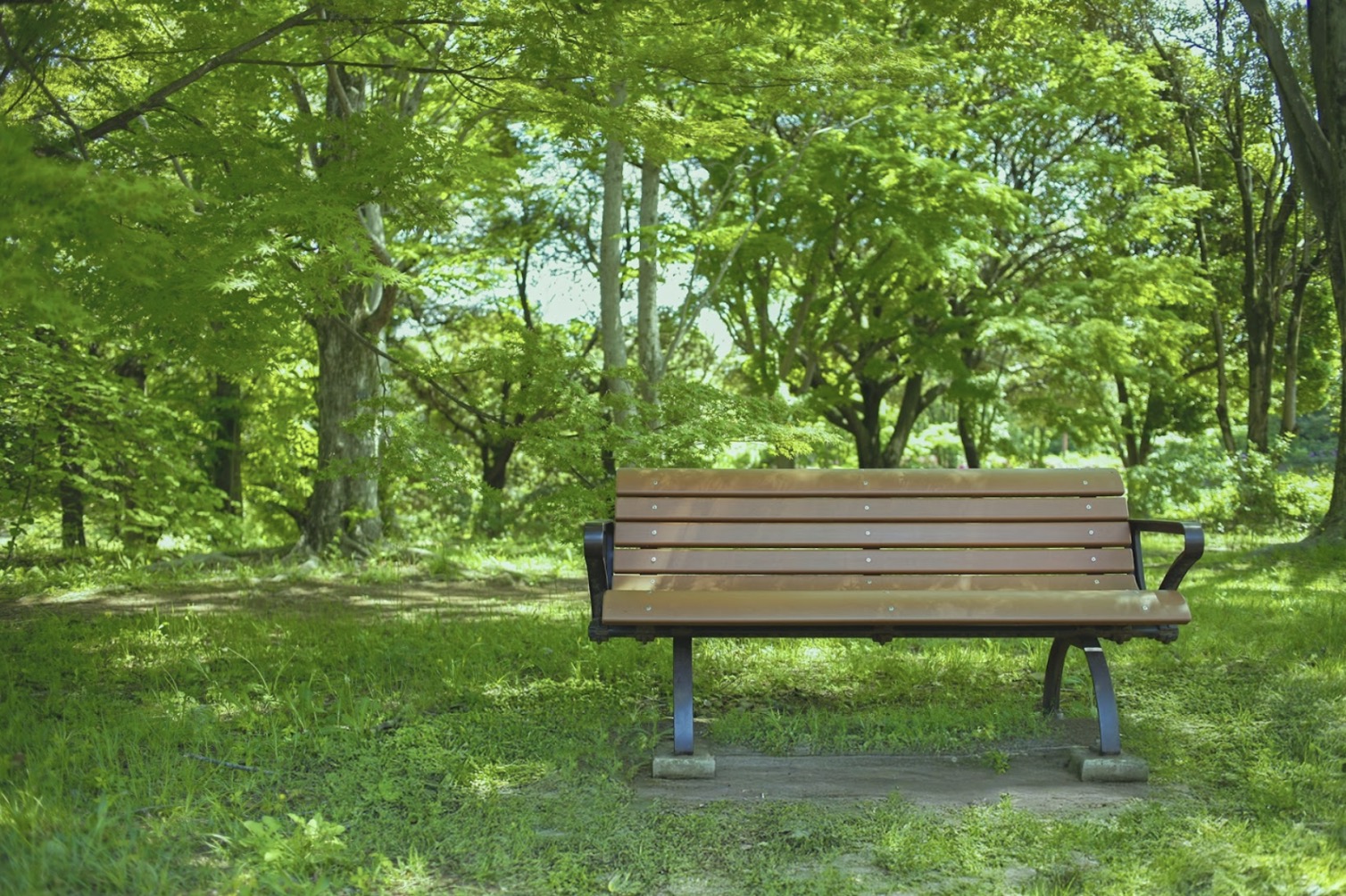 青々とした木々に囲まれた公園の中にある木製ベンチ。木漏れ日が差し込み、静かで落ち着いた雰囲気が広がっている:リラックス