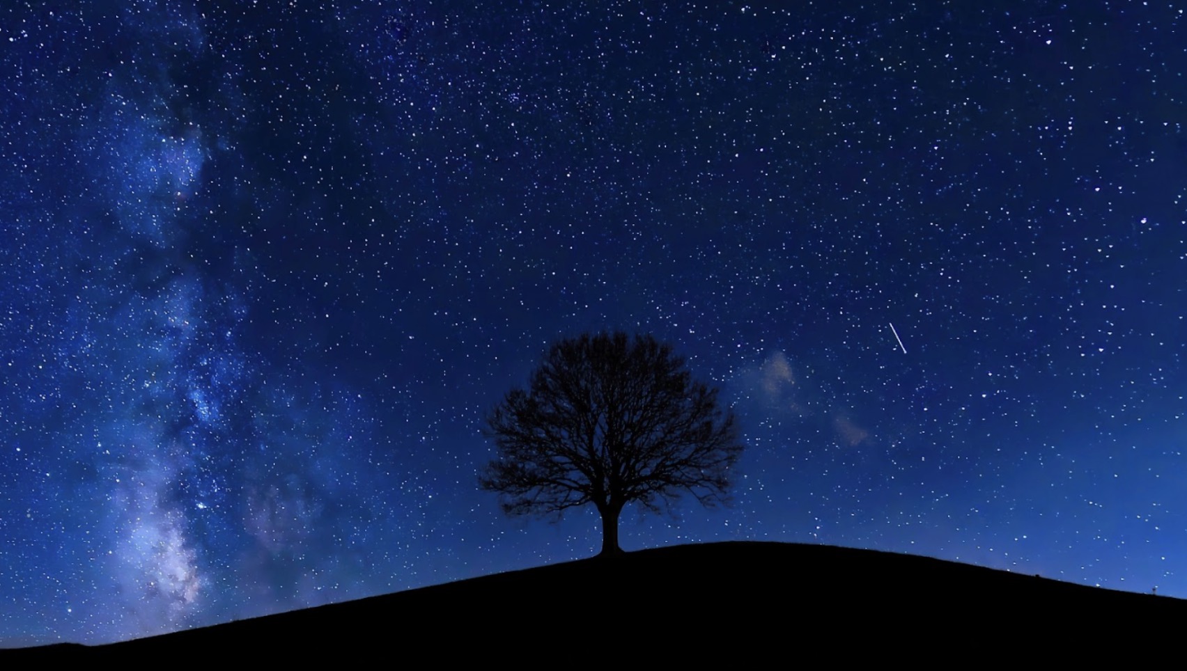 満天の星空と天の川の下に立つ一本の木のシルエット：睡眠瞑想