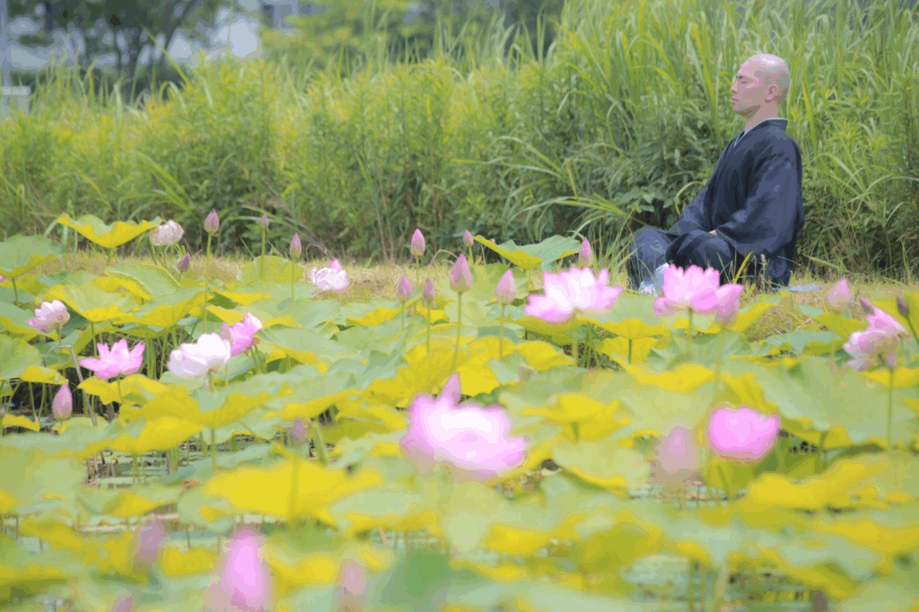 蓮の花が咲く池のほとりで、僧侶が座禅を組み静かに瞑想している様子。背景には青々とした草木が広がっている。：睡眠瞑想