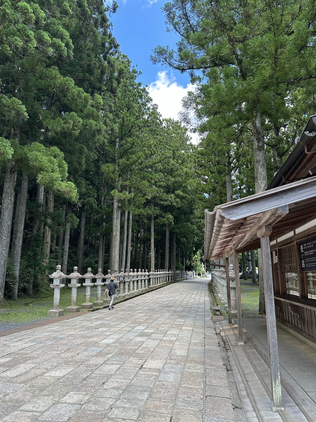杉木立が並ぶ参道を歩く人と、右側に木造の建物が写る静かな神社の風景。晴れた空の下、石灯籠が連なる道がまっすぐに伸び、自然の深い緑に包まれている。