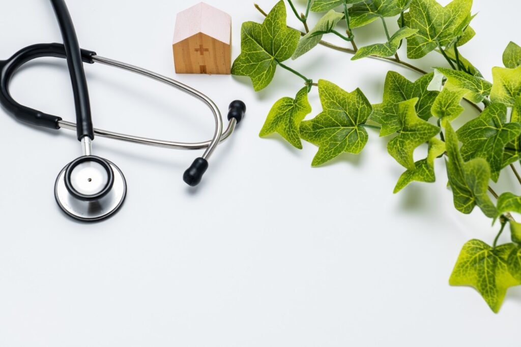 白い背景の上に置かれた聴診器と緑のアイビーの葉、そして十字マークが刻まれた木製の家の模型。医療と自然の調和をイメージした構図:ジョン・カバット・ジン