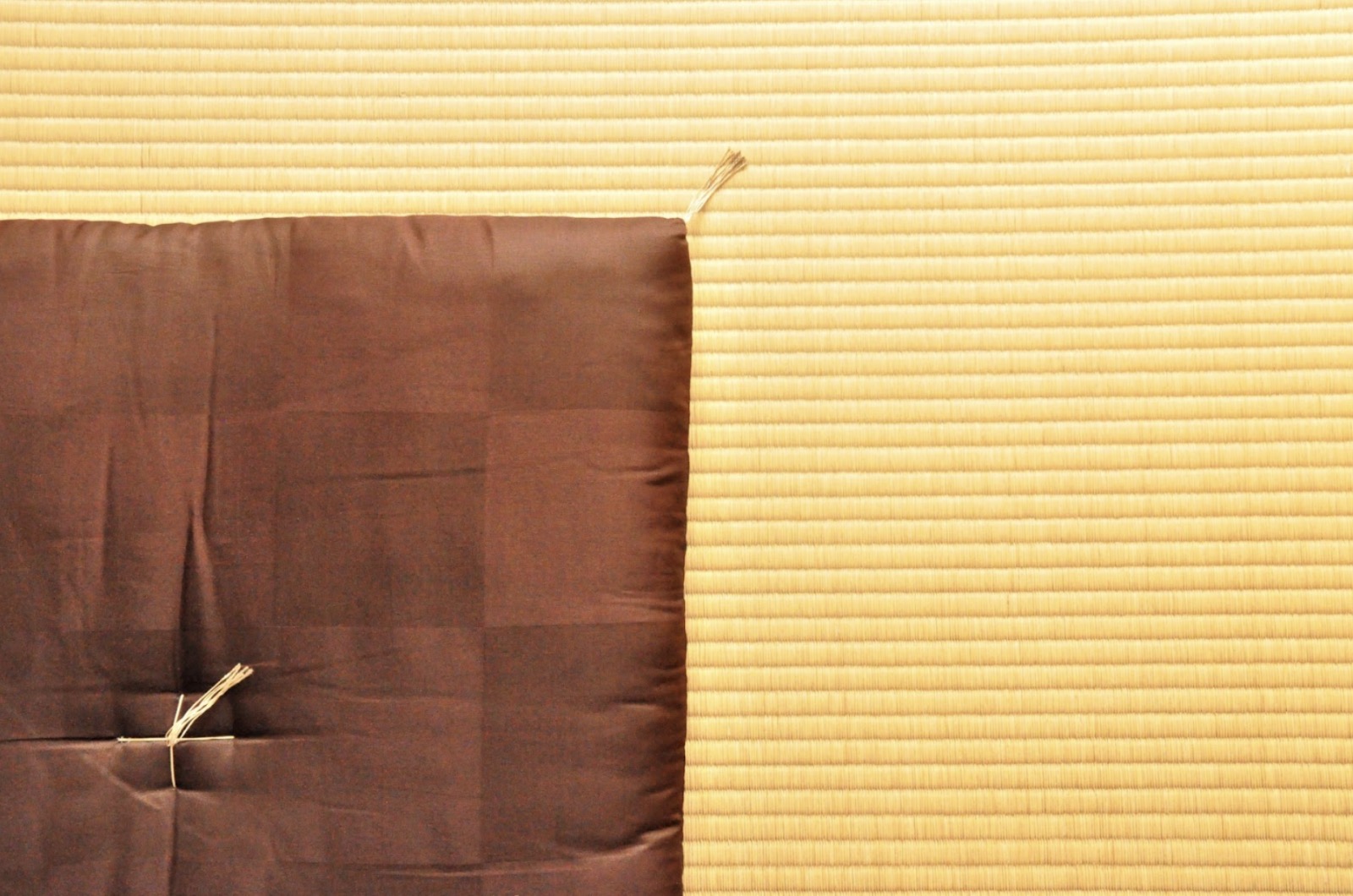A brown cushion placed on tatami flooring, with the contrast between the fabric and the bright tatami creating a simple, serene atmosphere: Zabuton