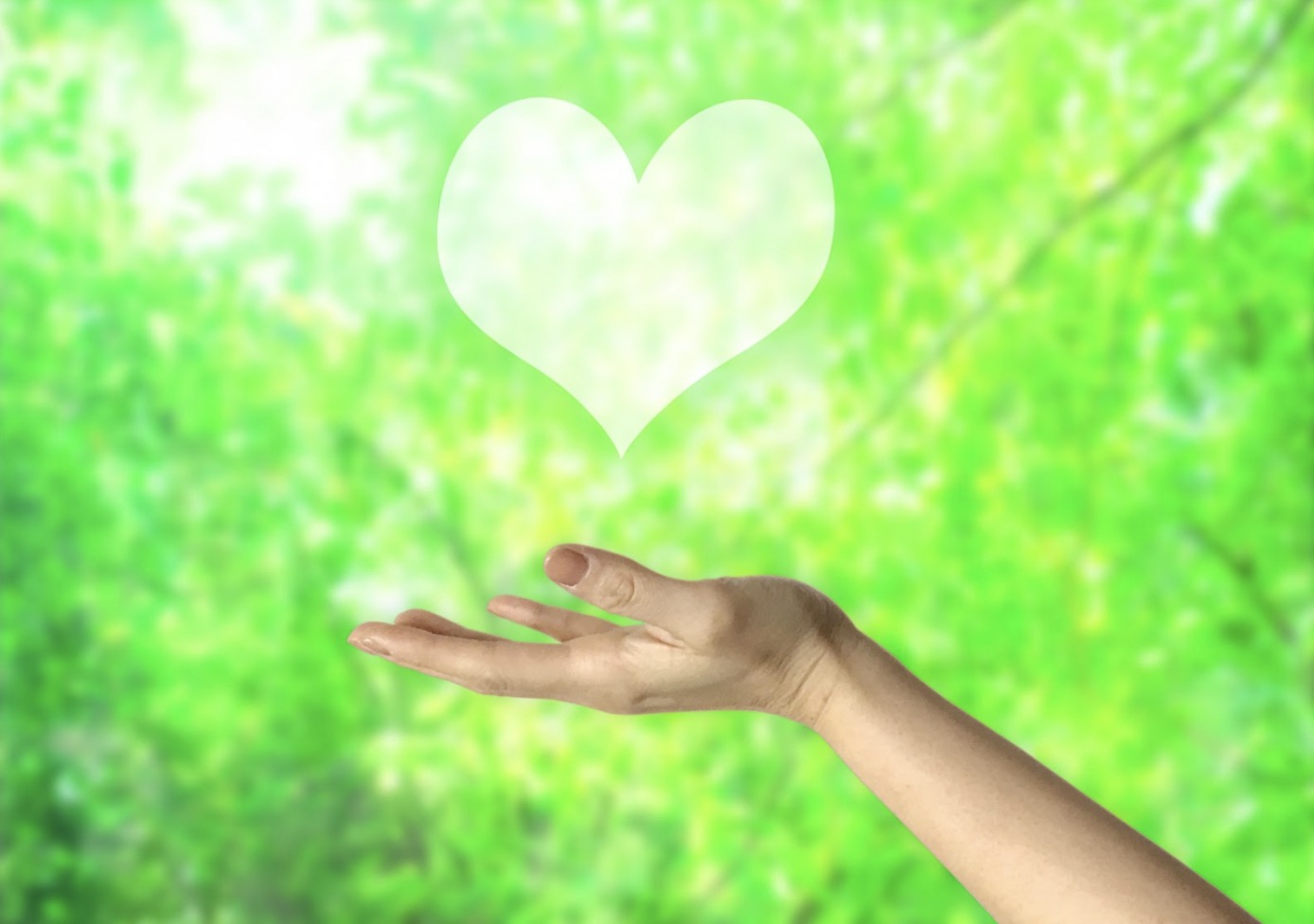 A hand extended against a green background with a white heart silhouette floating above it: Loving Kindness Meditation