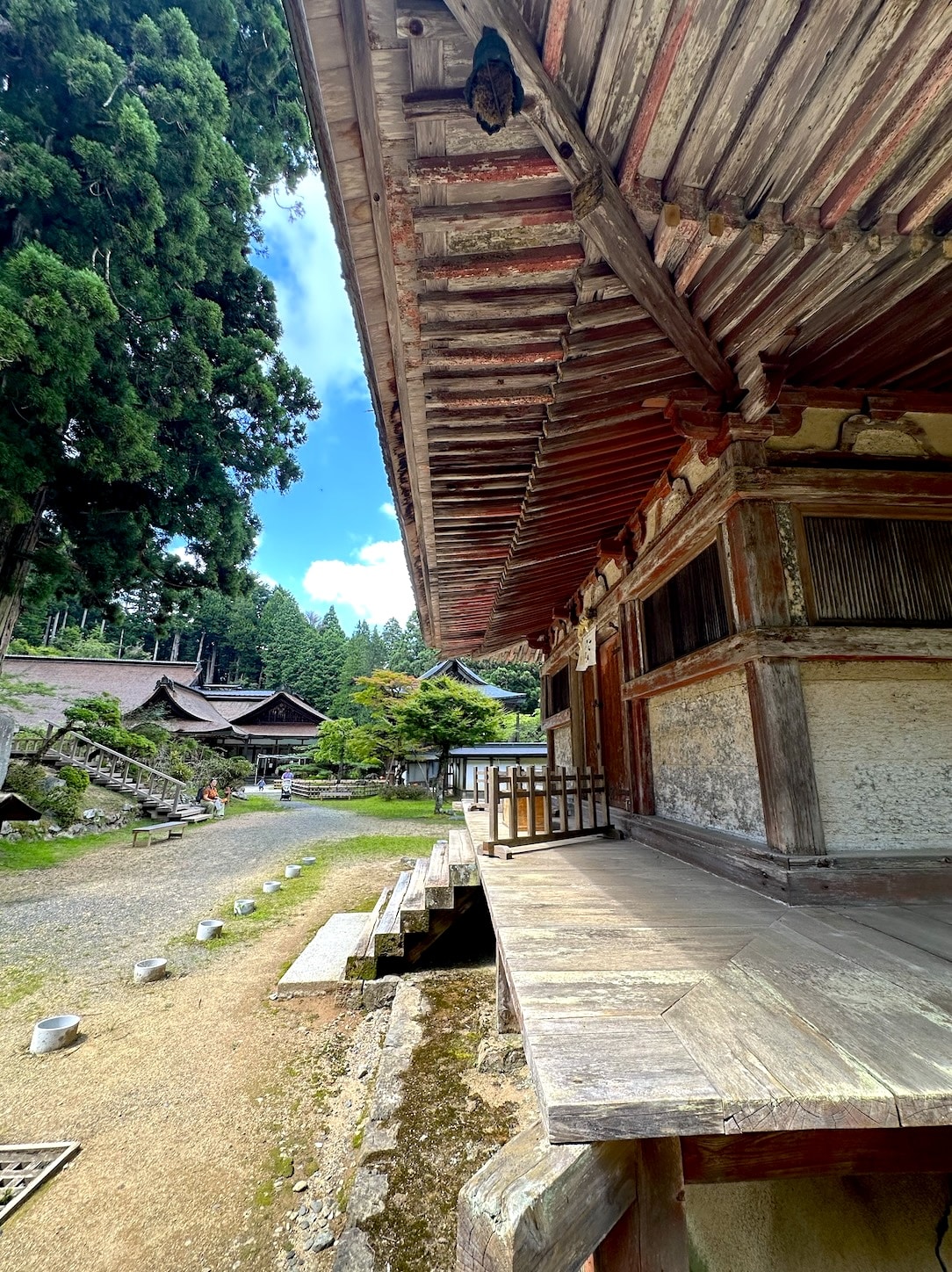 A wide-angle view of a traditional Japanese temple complex. The foreground shows the weathered wooden veranda and roof eaves of an old temple building, while the path leads toward additional historic structures surrounded by tall cedar trees under a bright blue sky :Meditation and Mindfulness